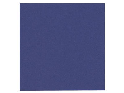 Servietter 24x24 cm 2-lags mørkeblå 100 stk