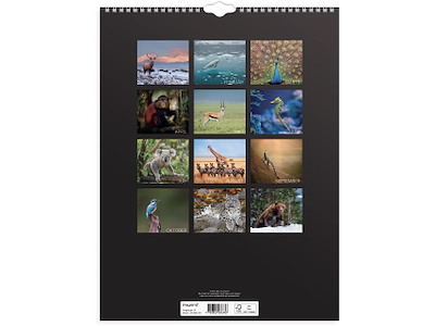 Vægkalender Verdens dyr 2026