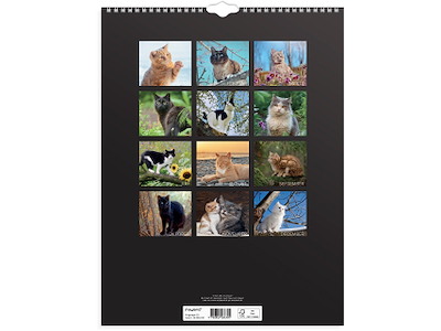 Vægkalender Katte 2026