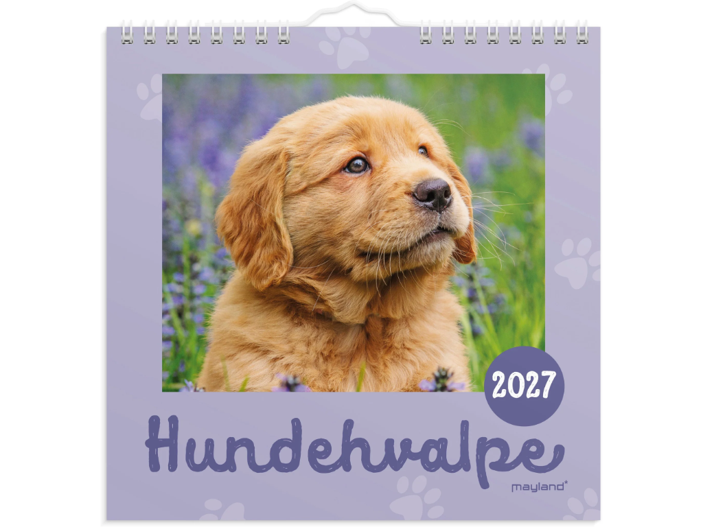 Vægkalender mini Hundehvalpe 2027