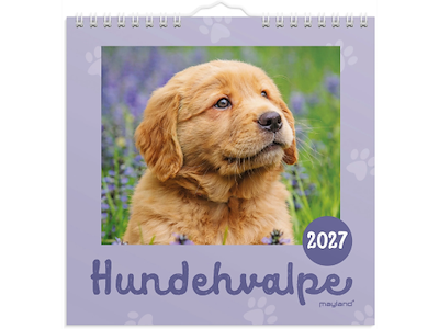Vægkalender mini Hundehvalpe 2027