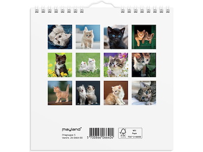 Vægkalender mini Kattekillinger 2026
