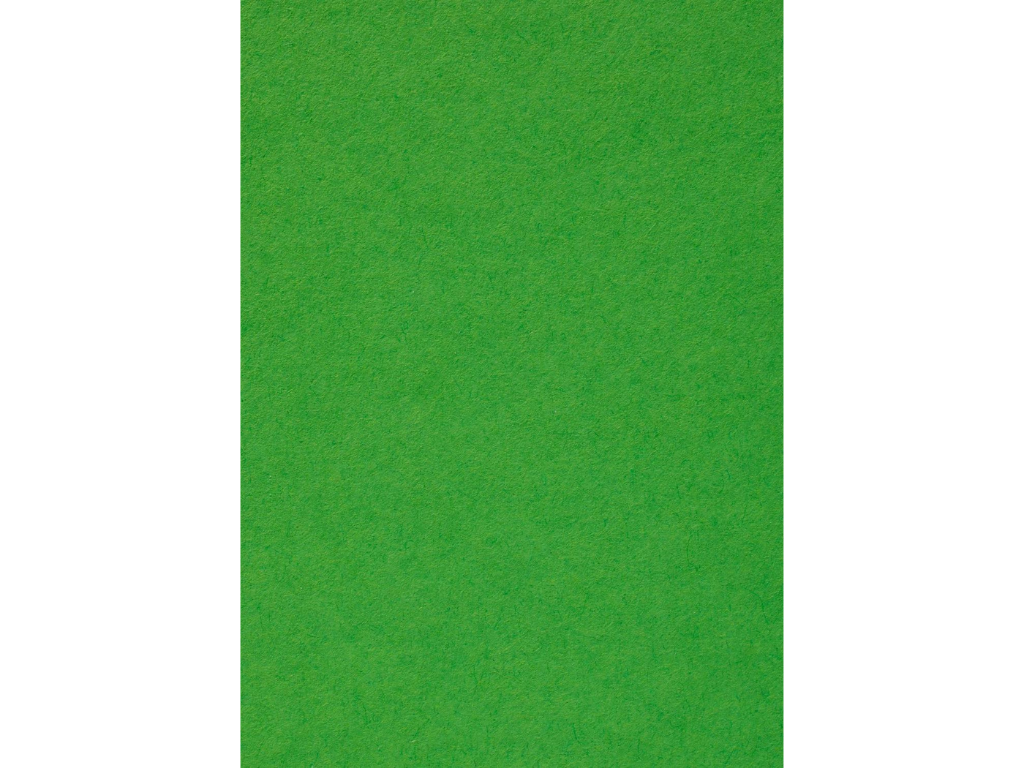 Karton A4 180 gr græsgrøn 10 ark