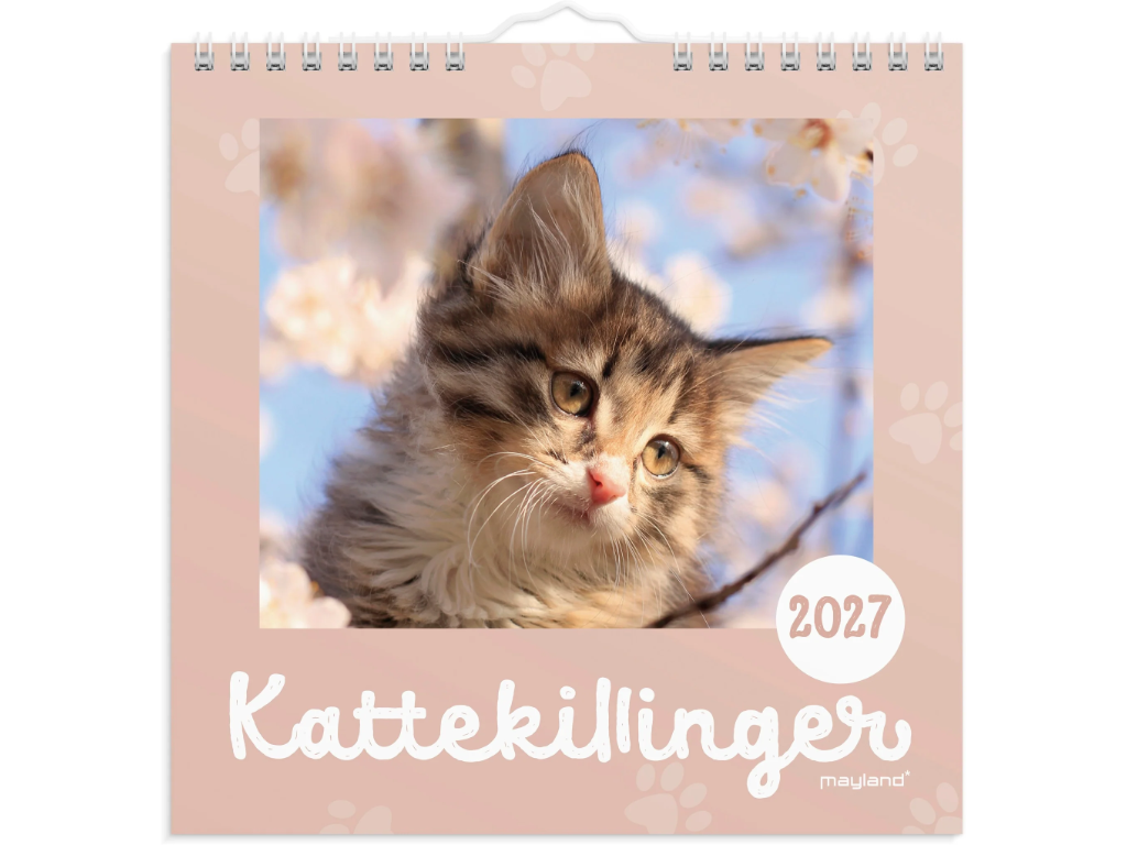 Vægkalender mini Kattekillinger 2027