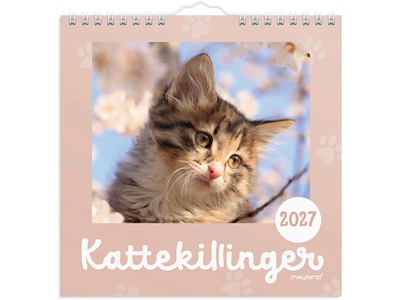 Vægkalender mini Kattekillinger 2027