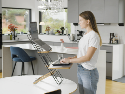 Mousetrapper Standfriend sort