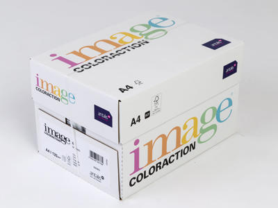 Kopipapir A4 | 120 g | Forest Pastel Green | 250 ark