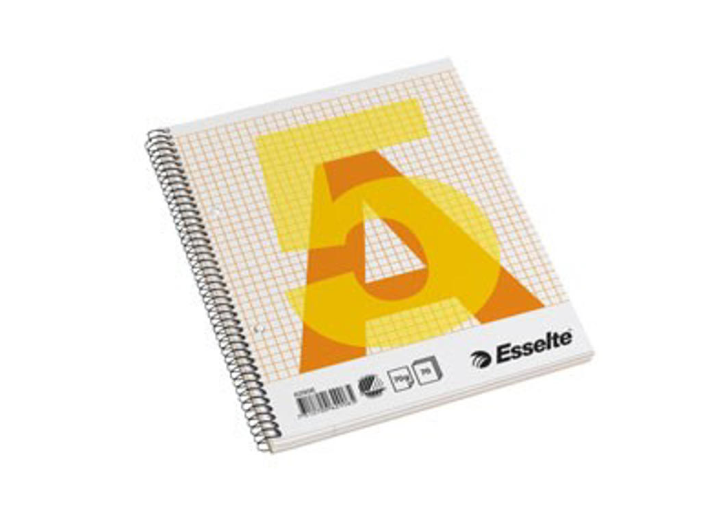 Kollegieblok Esselte A5 kvadreret