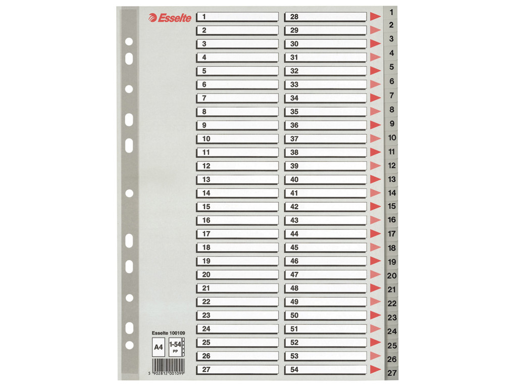 Talregister A4 Esselte 1-54 grå
