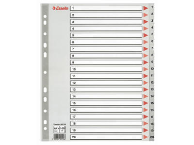 Talregister A4 Maxi Esselte 1-20 grå
