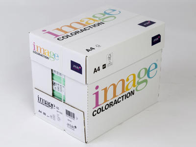 Kopipapir A4 | 80 g | Forest Pastel Green | 500 ark