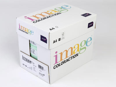 Kopipapir A4 | 80 g | Jungle Pale Green | 500 ark