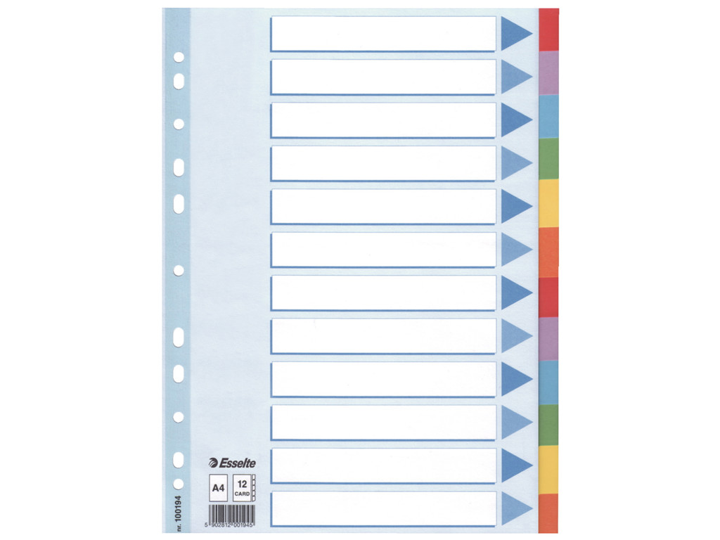 Faneblade A4 Esselte 12 delt farvet karton
