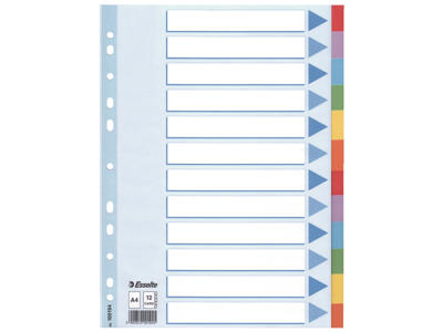 Faneblade A4 Esselte 12 delt farvet karton