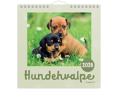 Vægkalender mini Hundehvalpe 2026