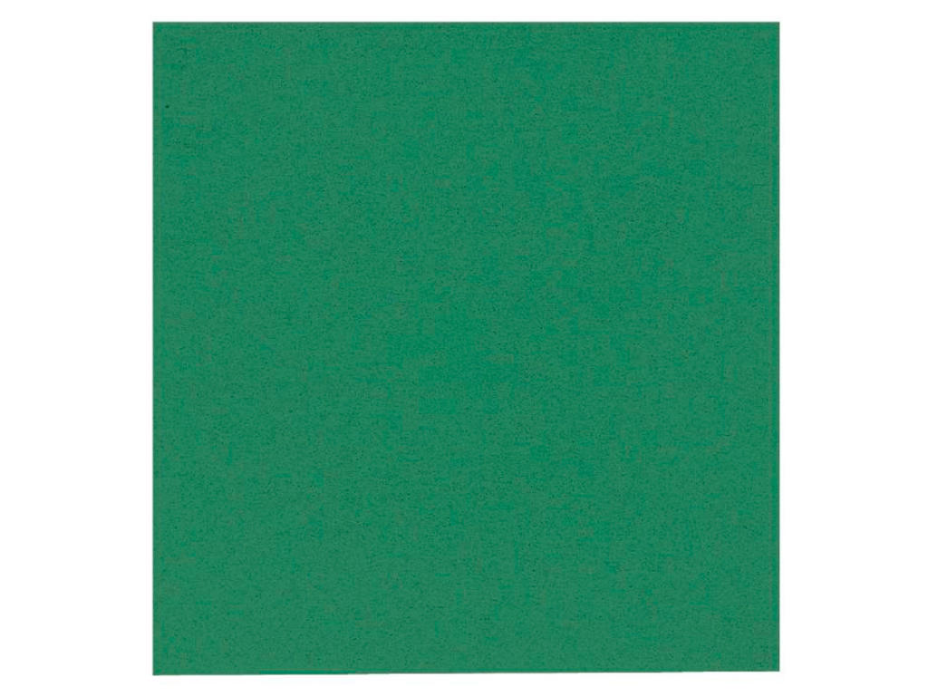 Servietter 24x24 cm 2-lags grøn 100 stk