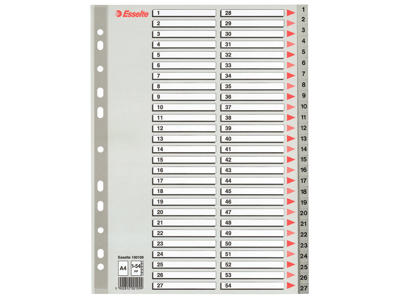 Talregister A4 Esselte 1-54 grå