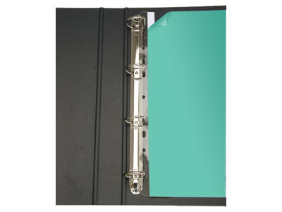 File Strips A4 100 stk