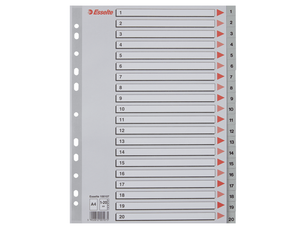 Talregister A4 Esselte 1-20 grå