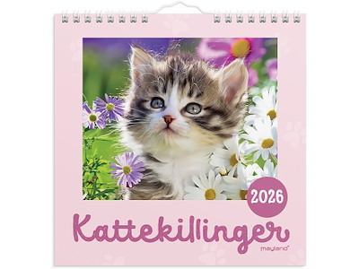 Vægkalender mini Kattekillinger 2026