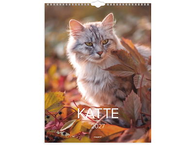 Vægkalender Katte 2027